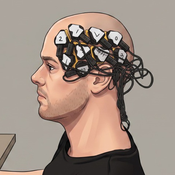 High-density EEG electrodes placed on scalp